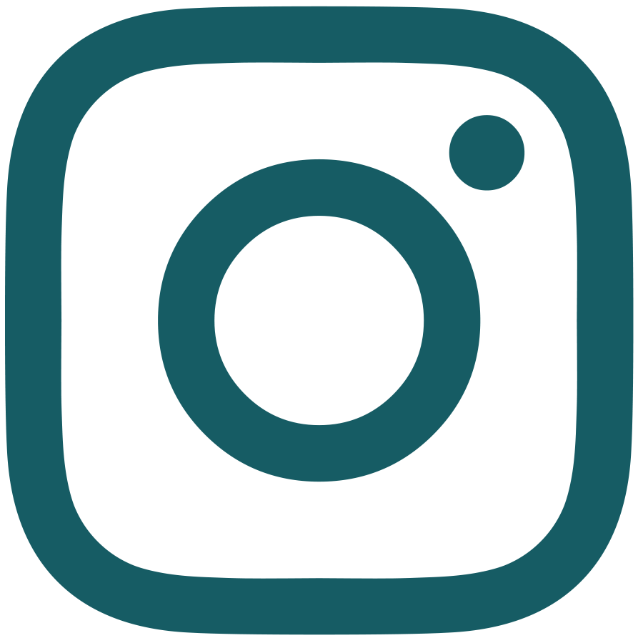 Instagram Icon