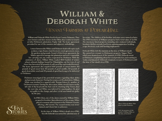 Photo of the William and Deborah White panel from the "Five Stories" exhibit