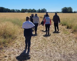 A group walks to the African Burial Ground during a recent visitation program. 