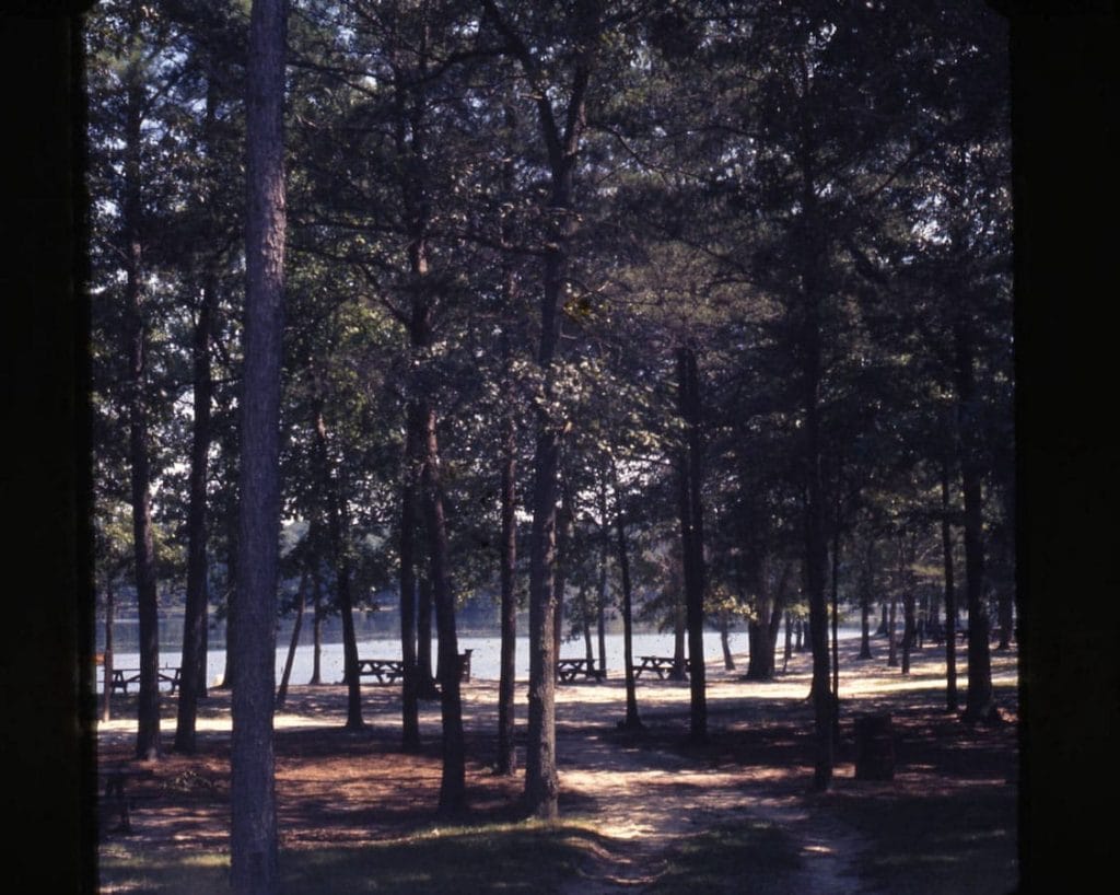 Image: Trap Pond State Park, 1967, Delaware Public Archives.