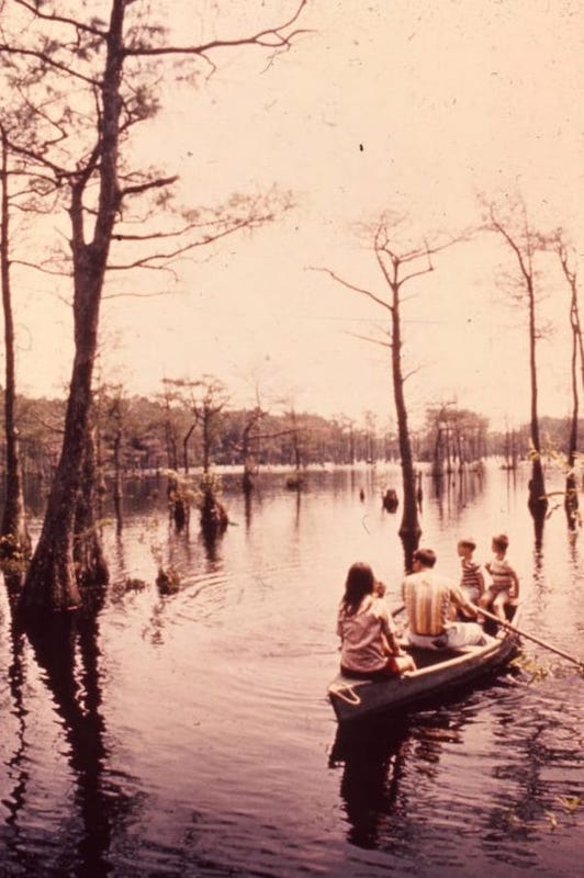  Image: Trap Pond State Park, 1972, Delaware Public Archives