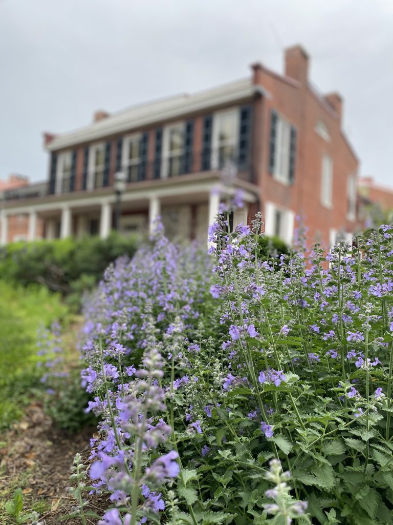 A rainy mid-May day did not dampen the enthusiasm of those visiting the Delaware Division of Historical and Cultural Affairs’ sprawling Buena Vista historic site. 