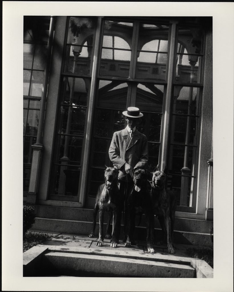 A white man wearing a brimmed hat holds the leashes to 3 great danes in front of a conservatory. 