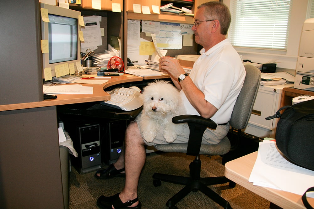 A white man is seen sitting at a cluttered desk reading papers in his hands. A white dog lays in his lap.