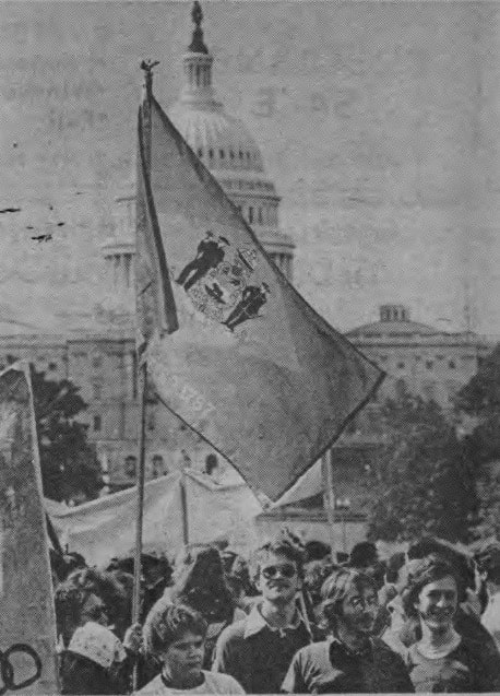 The Delaware Flag being carried in a march. The Washington D.C. capitol building can be seen in the background.