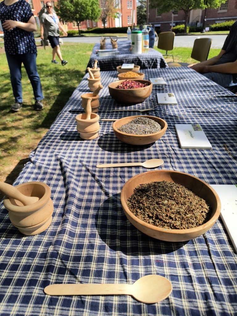 Students visit the Old State House for an education event