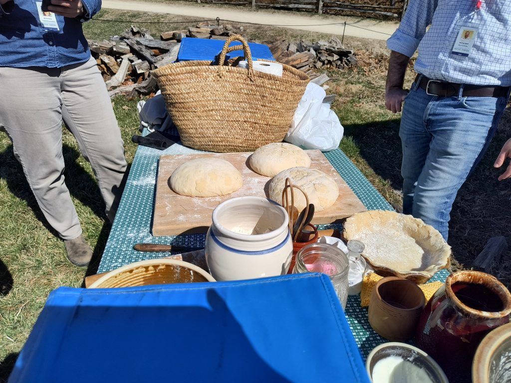 bread dough and pie crusts being prepared, sitting on cutting board to rise