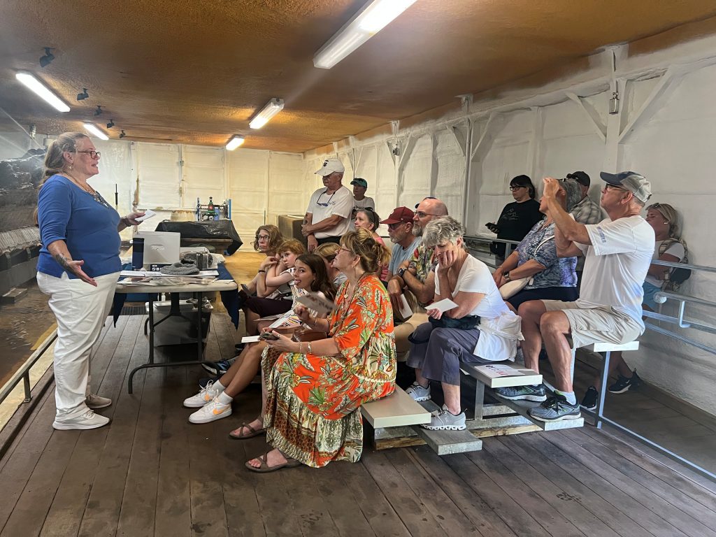Visitors learn about the artifacts collected from the HMS DeBraak shipwreck.