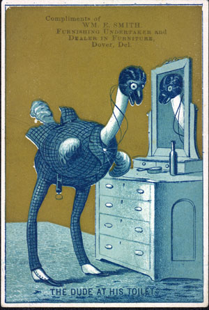 Fathers Day Card of an Ostrich looking in a mirror