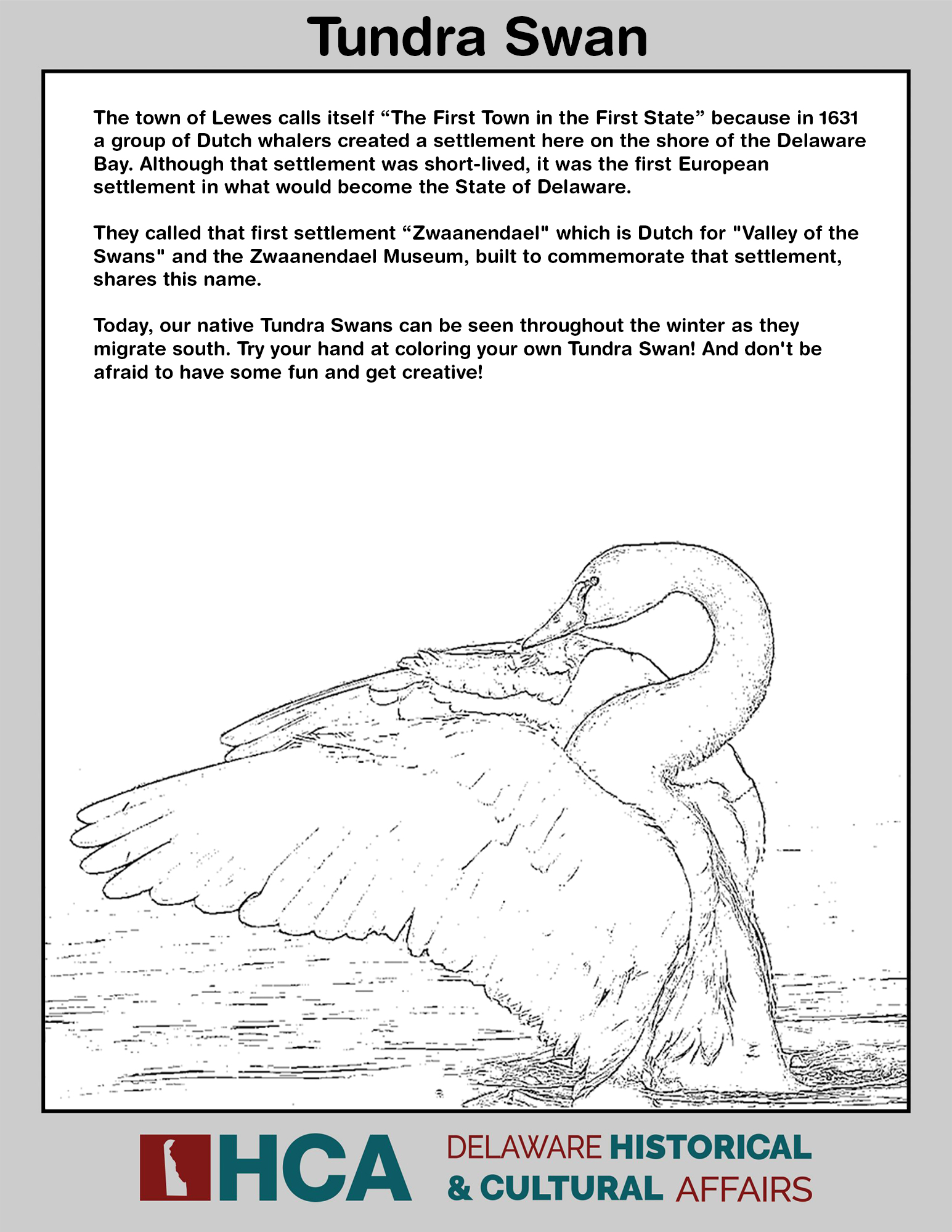 Photo of coloring book page of a Tundra Swan