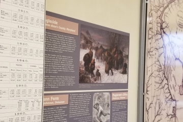 path to freedom display